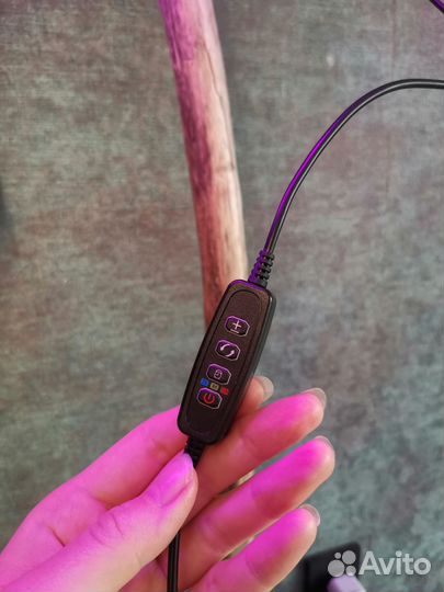 Фитолампа для растений