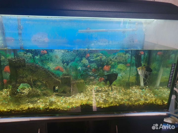 Аквариум