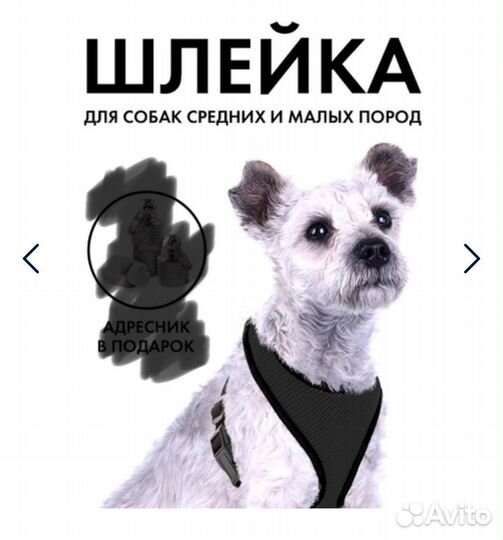 Анатомическая шлейка для маленьких и средних собак