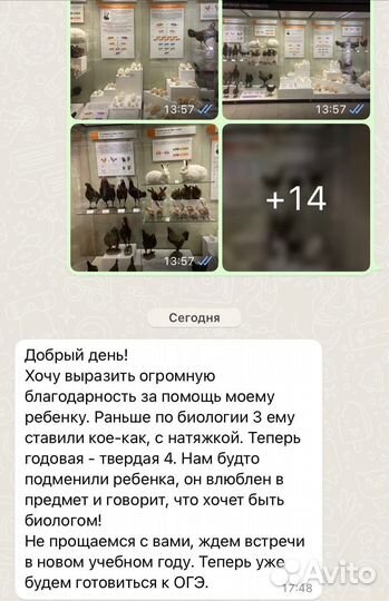 Репетитор по биологии