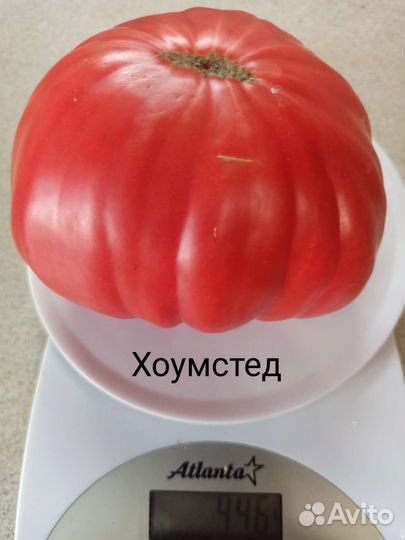 Семена томатов крупноплодных вкусных