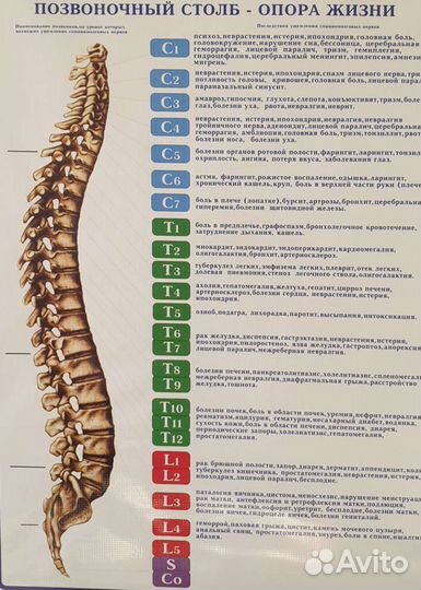 Массажист мануальный терапевт