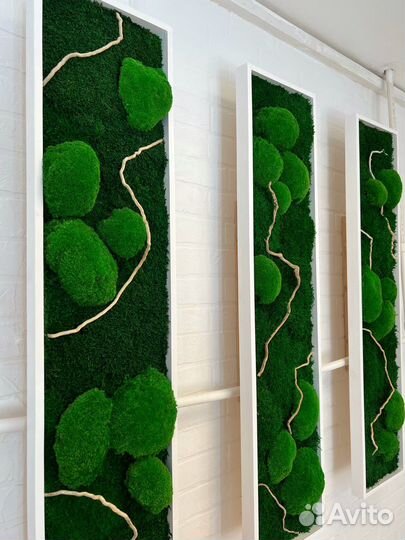 Панно со стабилизированным мхом