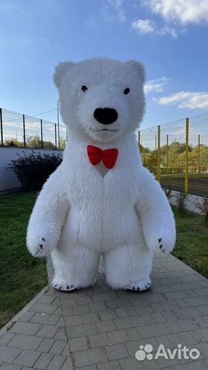 Белый мишка поздравление