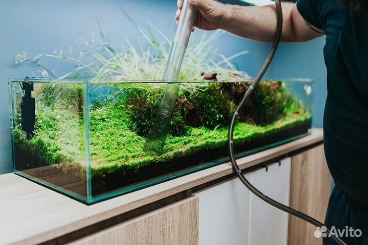 Чистка аквариумов по вызову