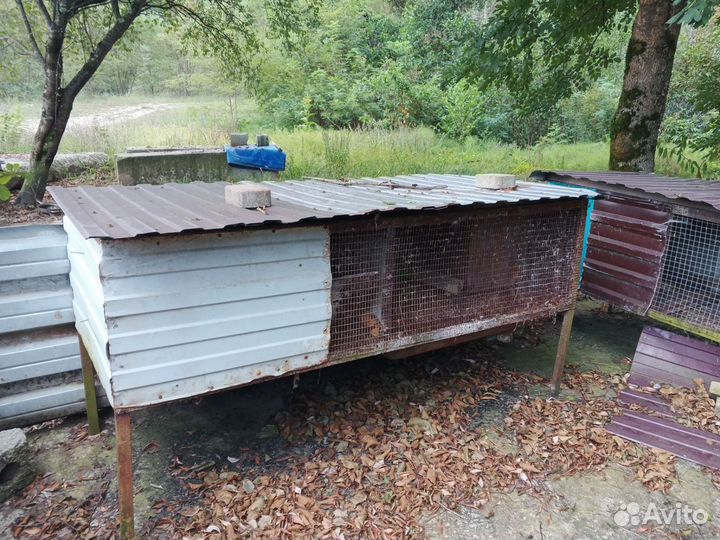 Клетка для грызунов бу