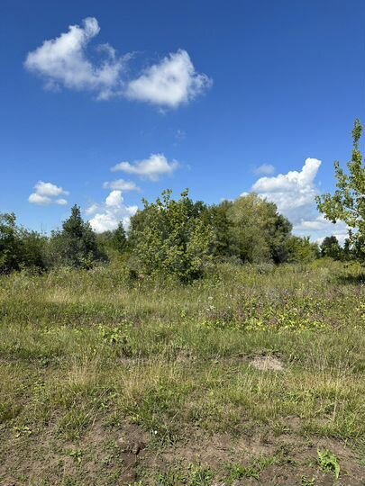 Участок 10,5 сот. (ИЖС)