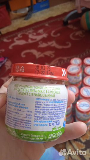 М. Сходненская