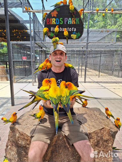 Премиум йога-серф тур – VIP-отдых в раю