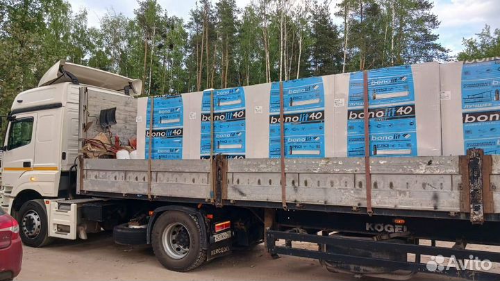 Газоблок 250 200