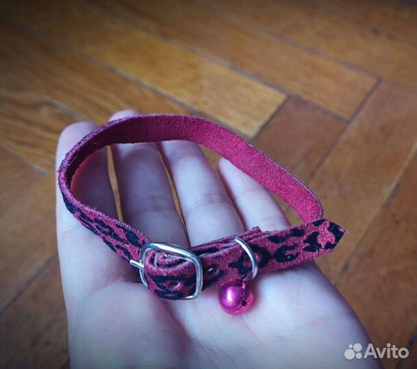 Шлейка, поводок и ошейник для домашних животных