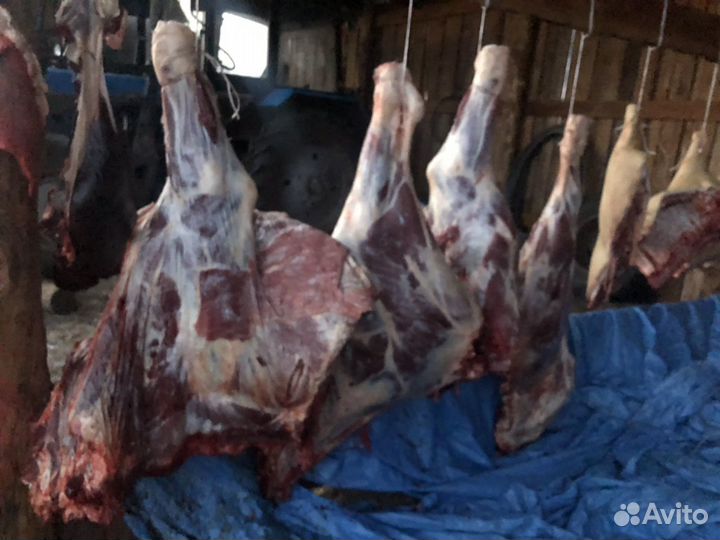Мясо Вналичии деревенское Говядина забой 11августа