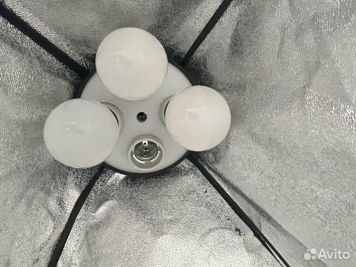 Софтбокс 50 x 65 на 4 лампы