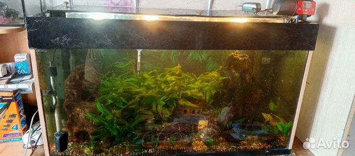 Аквариум с рыбками