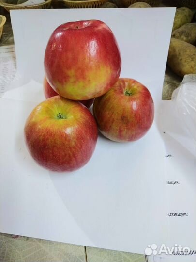 Яблоки Хани Крипс