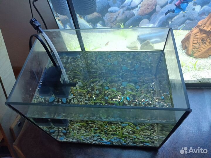 Аквариум