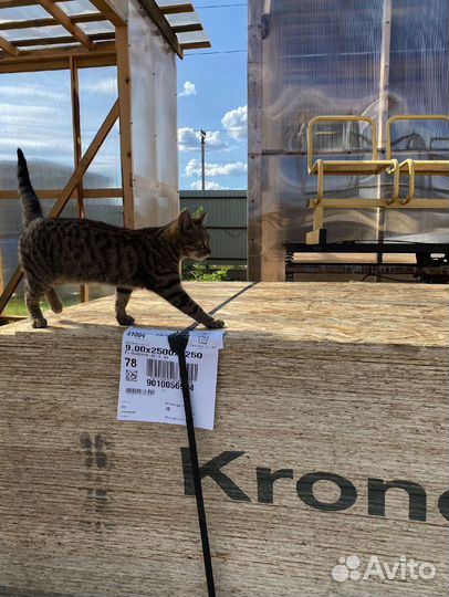 Осб осп лист 12 мм