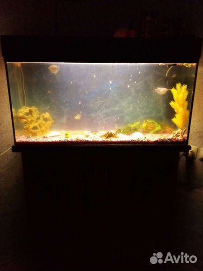 Аквариум с тумбой