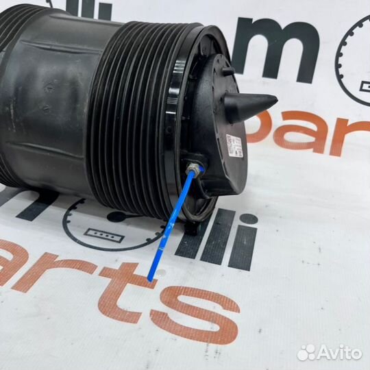 Пневмобаллон задний правый Audi Q8 2019