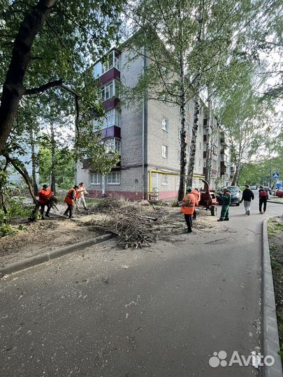 Сдам в аренду измельчитель веток