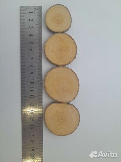 Торцевые спилы рябины