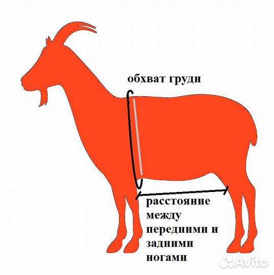 Фартук для козлов Барьер с ребром жесткости