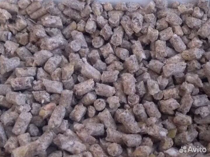 Поросята старт, рост