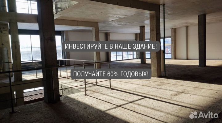 Инвестиции 60 годовых