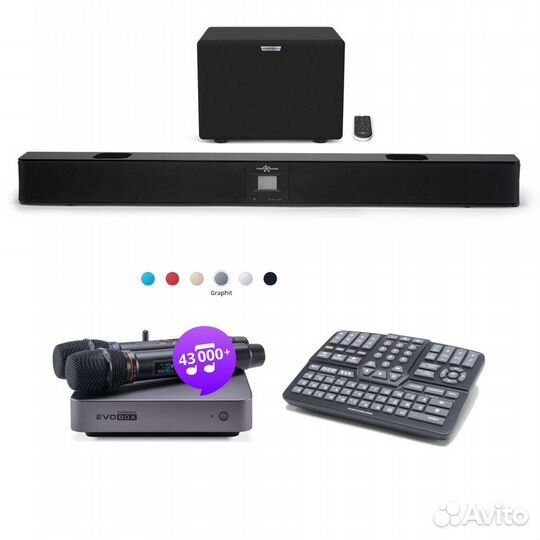 Караоке комплект EvoBox Plus микрофоны EvoSoundBar