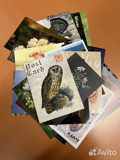 Открытки для посткроссинга флора фауна 30шт