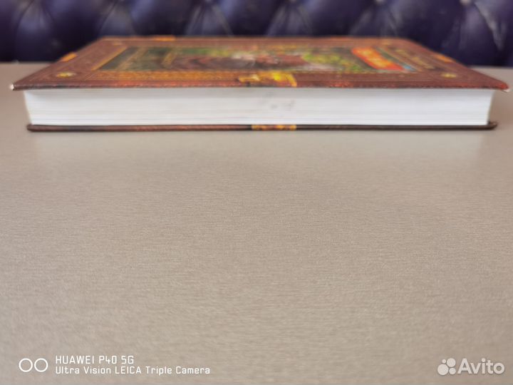 Коты воители рассвет звездный свет