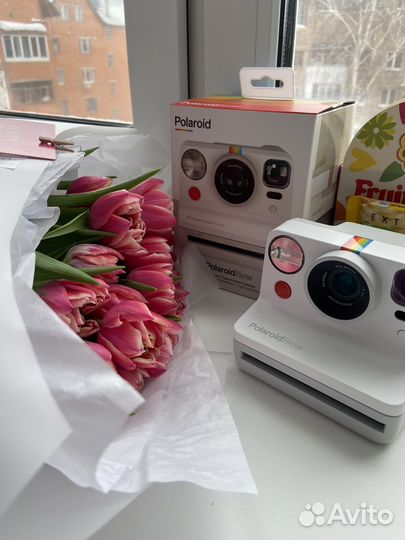 Polaroid Now