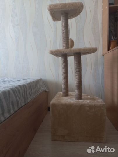 Кошачий домик