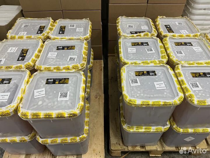 Гречишный Мед оптом