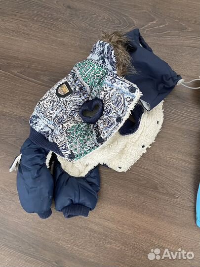 Зимний костюм для собаки