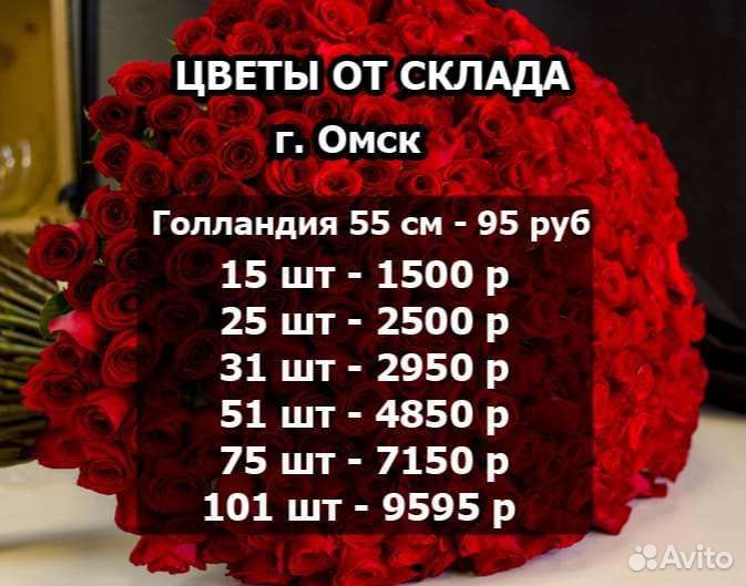Голландская роза от производителя