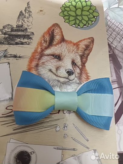 Бабочка для мальчика