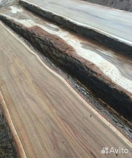 Комель, Торцевые спилы деревьев, Слэбы, Доски