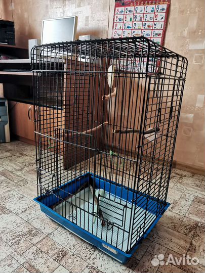 Большая клетка для птиц