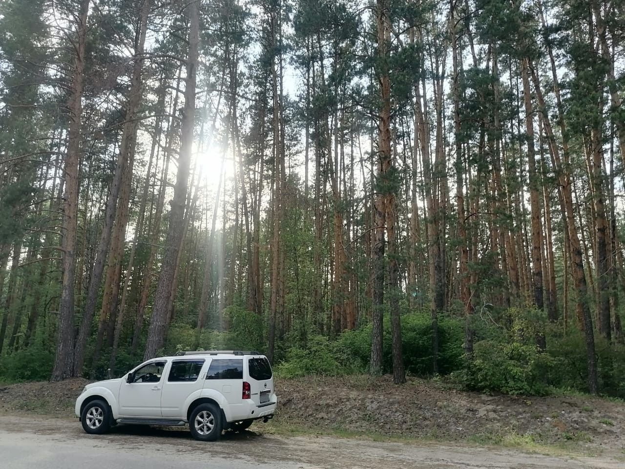 Nissan Pathfinder: фото владельца
