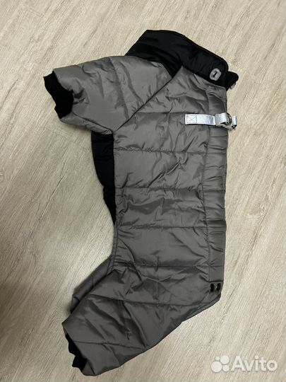 Одежда для собак