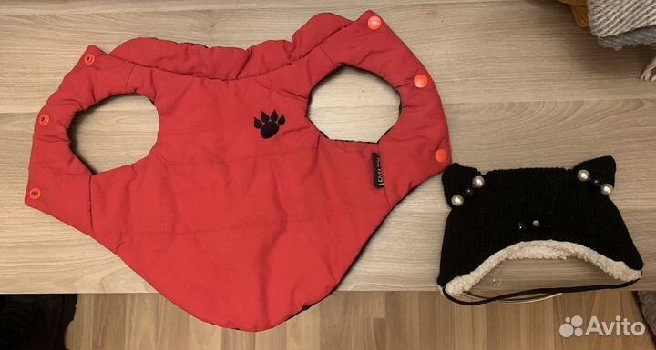 Одежда для маленькой собачки