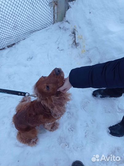 Кабель на вязку