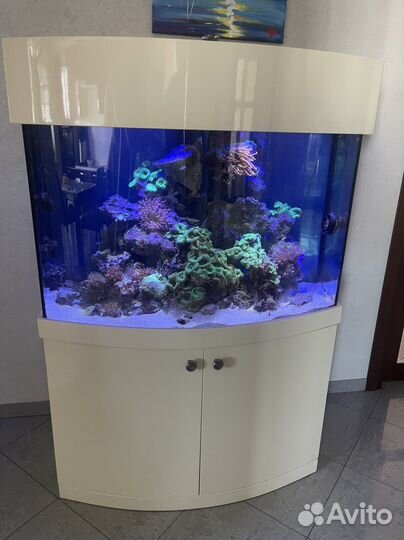 Продам морской аквариум