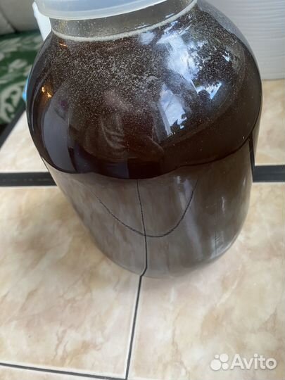 Мед гречишный 2023