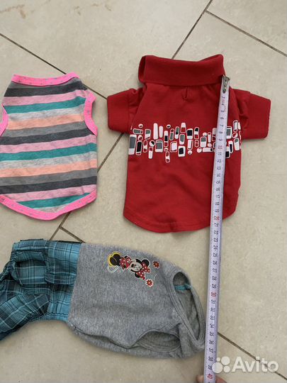 Лоток шлейки одежда для маленьких собак