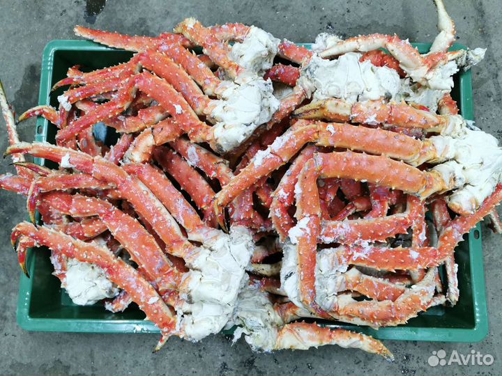 Краб Камчатский Супер Размер, сварен сегодня
