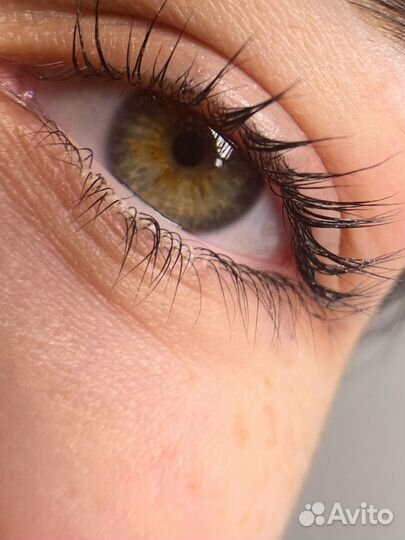 Коррекция бровей/Ламинирование ресниц