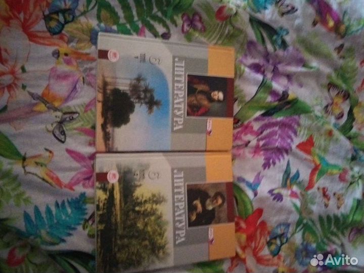 Учебники по литературе шестой класс