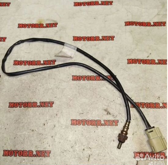 Harley-Davidson Sportster 1200 14-22 лямбда-зонд